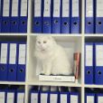 Traitement des salaires Roumanie