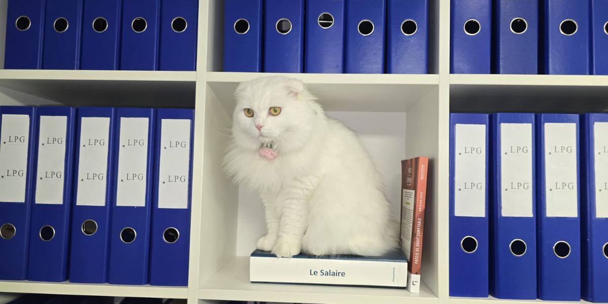 Traitement des salaires Roumanie