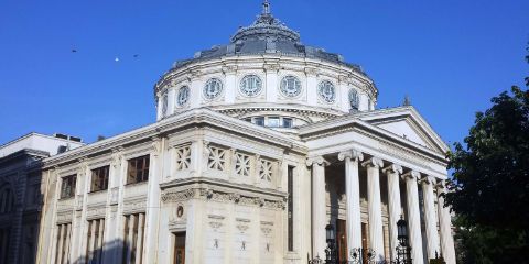Registry intra-communitary operators